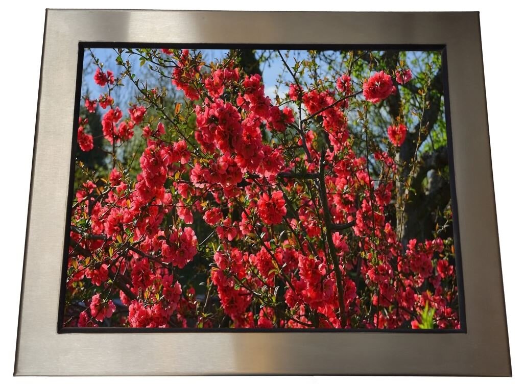 Komputer Panel PC 15" HARRDY 500iCAP Pojemnościowy INOX