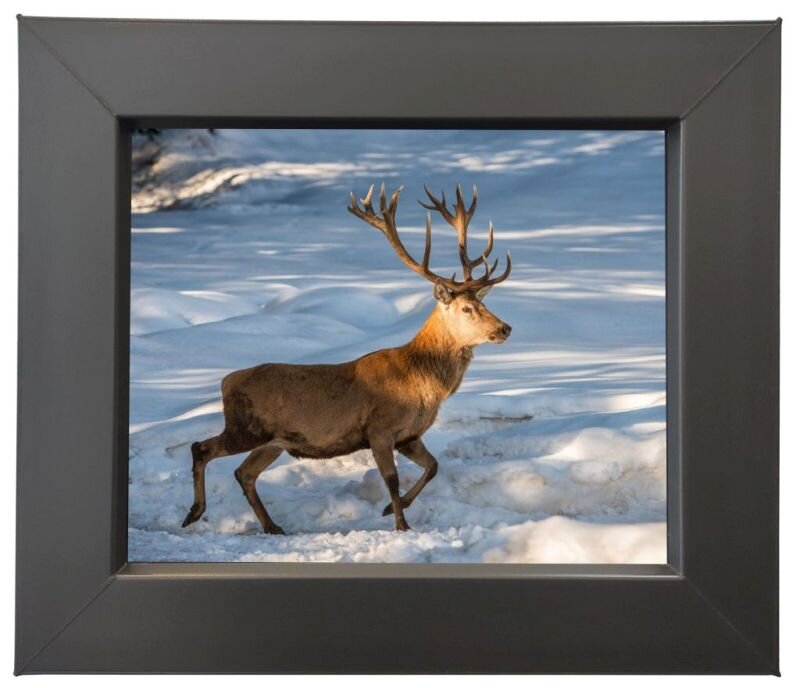 Komputer Panel PC 19" HARRDY 19EXT Infrared