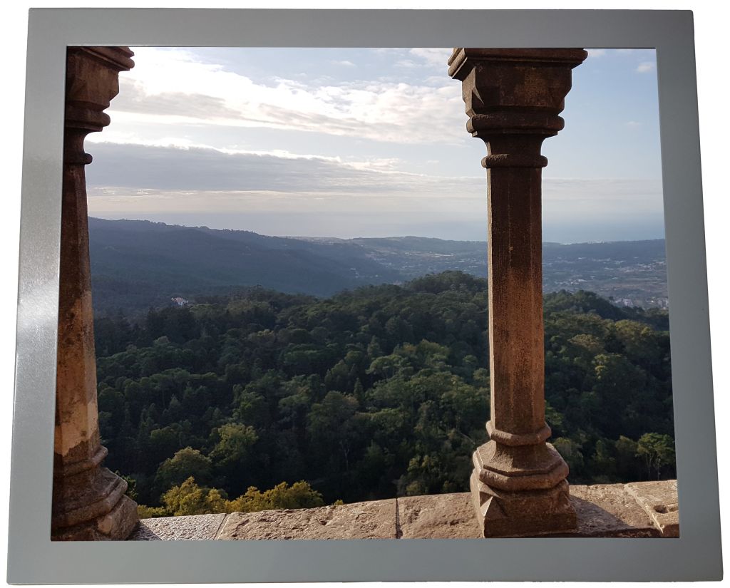 Monitor dotykowy Hardy 19Rnvi IR