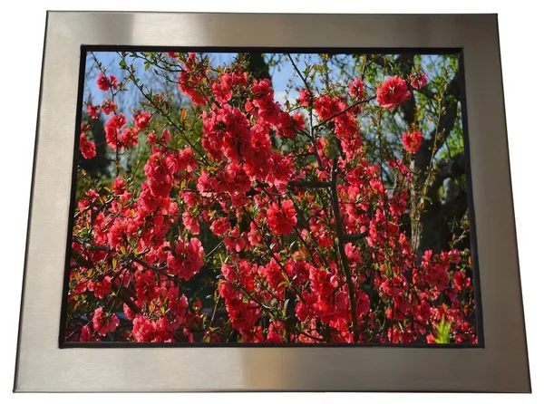 Komputer Panel PC 15" HARRDY 500LX rezystancyjny INOX