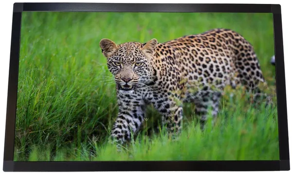 Monitor dotykowy 24" HARRDY 2407I Infrared