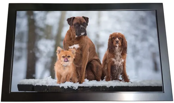 Monitor dotykowy 46" HARRDY 461FC Infrared